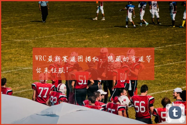 WRC最新赛道图揭秘,隐藏的弯道等你来征服!