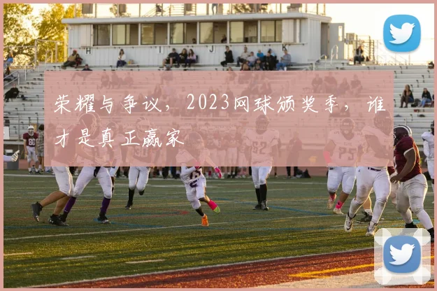 荣耀与争议,2023网球颁奖季,谁才是真正赢家